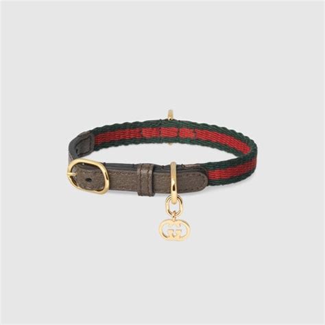 collar gucci mujer|gucci collar for cats.